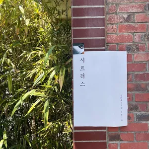 시트러스 리뷰 사진