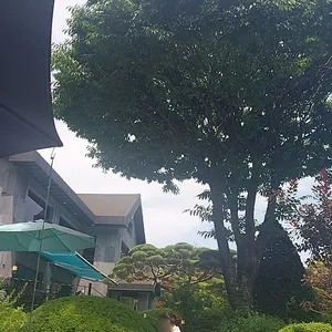 내추럴가든529 대표 사진