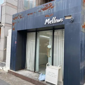 멜로우즈 리뷰 사진