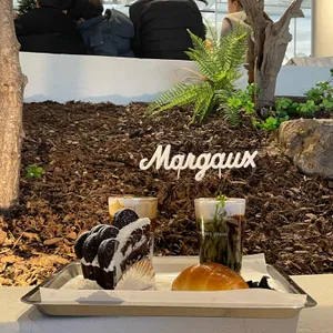 마고플레인 사진