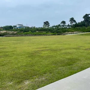 레드인블루 리뷰 사진