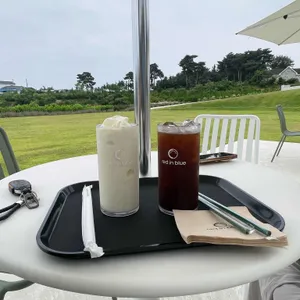 레드인블루 사진