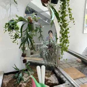 됴심 리뷰 사진