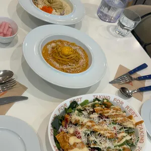 세컨디포레스트 사진