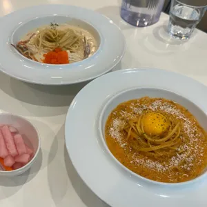 세컨디포레스트 사진