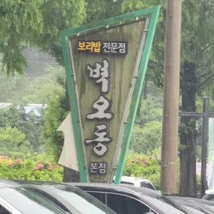 벽오동 대표 사진