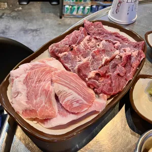 부산갈매기 대표 사진