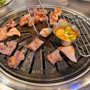 부산갈매기 사진