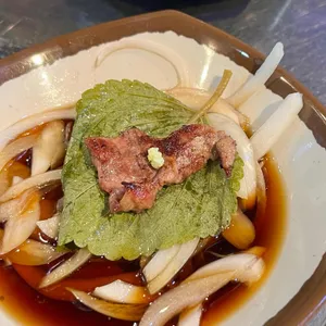 부산갈매기 사진