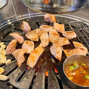 부산갈매기 사진