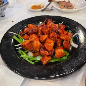 또오리 사진