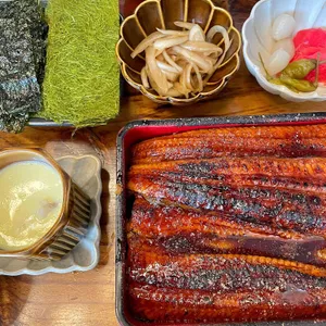 타마 사진