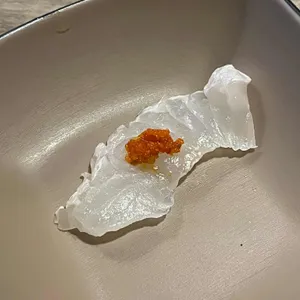 논논 사진