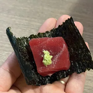 논논 사진