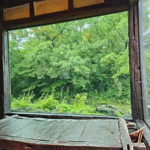 야원 리뷰 사진