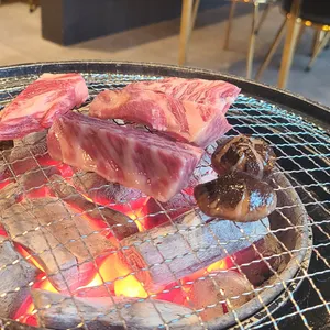 우화 사진