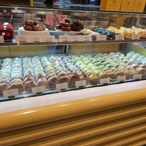 노티드 사진