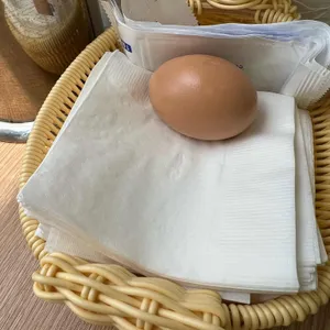 모도리닭곰탕 사진