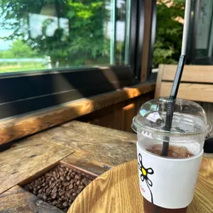 매화마름 사진