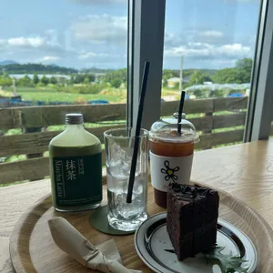 매화마름 사진