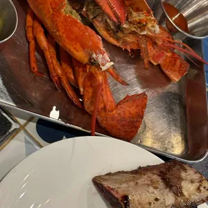 바이킹스워프 사진