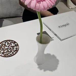 거베라 사진