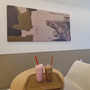 매머드익스프레스 대표 사진