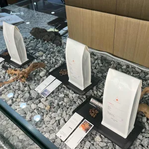 알제로스터즈 리뷰 사진