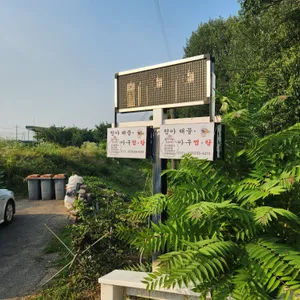 청아해물찜 리뷰 사진