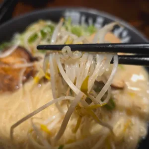 코이라멘 사진