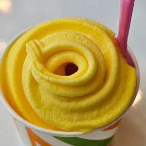 오디씨 사진