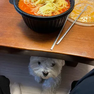 가문의짬뽕 사진