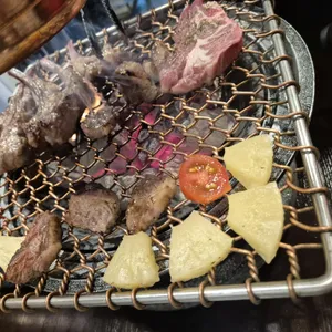 양파이 사진