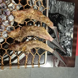 양파이 사진