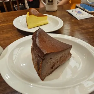 트키 도산 사진