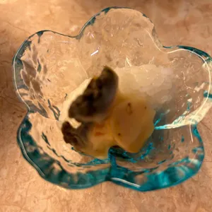 사이코우 사진