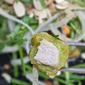 빙빙반점 리뷰 사진