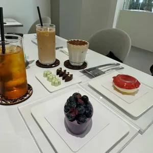 거베라 사진