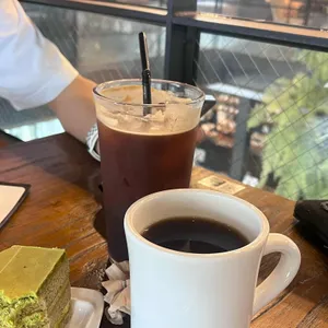 팀버 사진