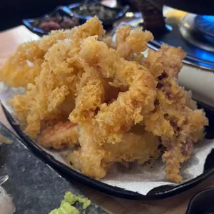 동어동락  사진