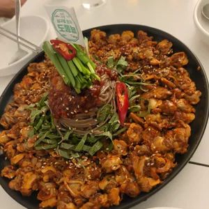 도롱뇽 사진