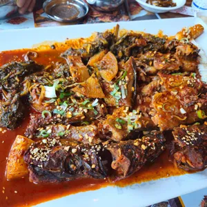 황금코다리 사진