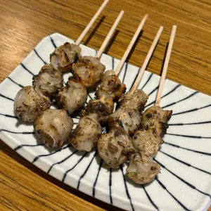 투다리 사진