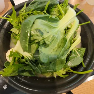 등촌샤브칼국수 사진