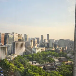 프레스센터 기자클럽 레스토랑 리뷰 사진
