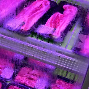 그릴핑 리뷰 사진