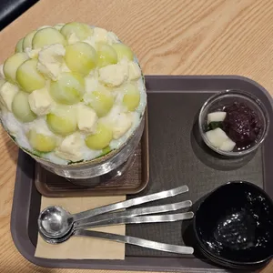 팥도리 사진