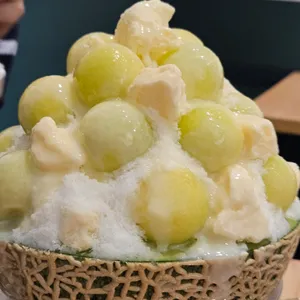 팥도리 사진