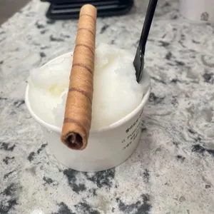 지파시 사진