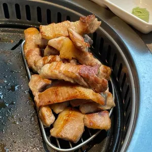 거북이동네 사진